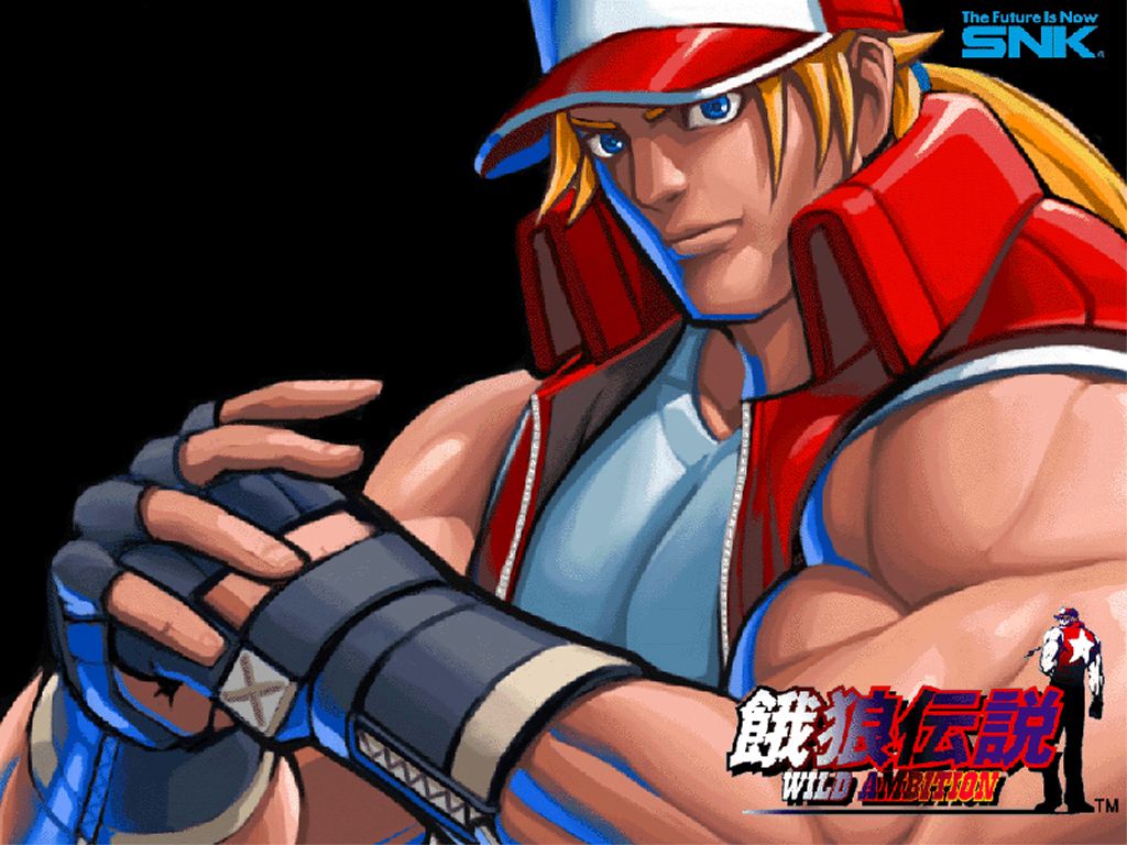 fatal fury spectacle